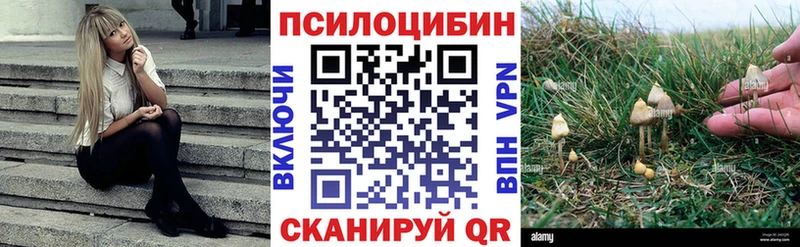 mega ТОР  это как зайти  Баймак  Галлюциногенные грибы GOLDEN TEACHER  что такое  