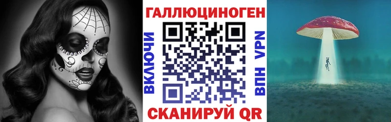 Псилоцибиновые грибы Psilocybe Баймак